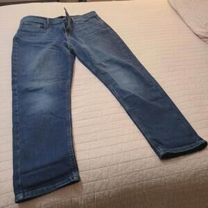 Banana Republic Jeans Womens 32/14 Blue Denim Girlfriend